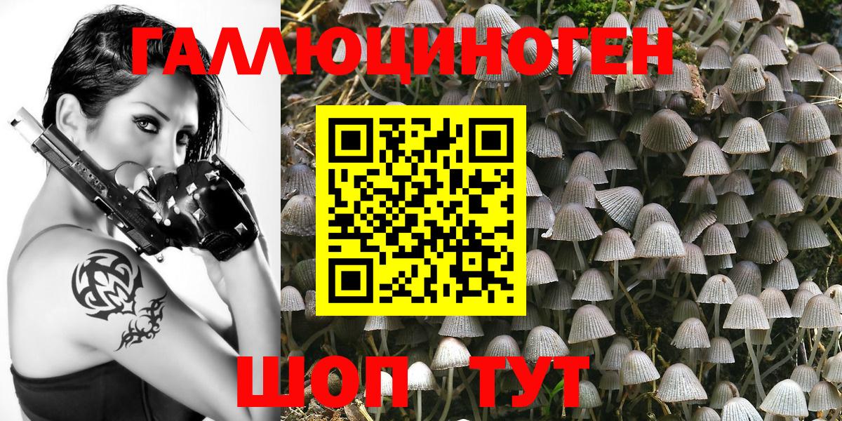 Заволжье  Псилоцибиновые грибы мухоморы  Вход с VPN 